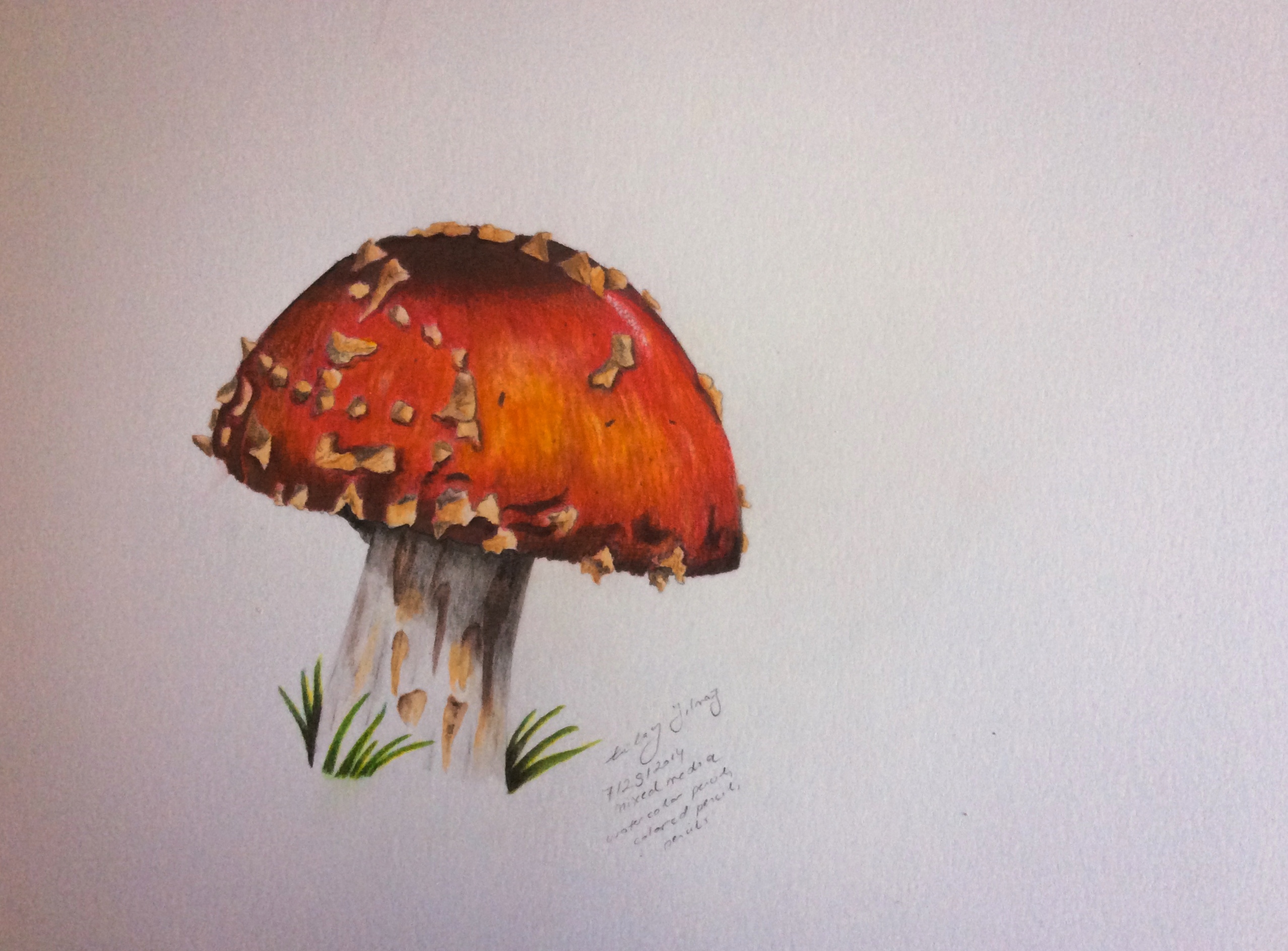 2556x1888 Watercolor Pencil Art In Nature