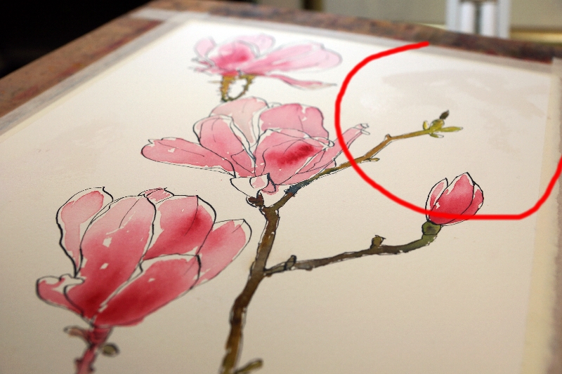 800x533 Pen And Ink Drawing With Watercolor Wash Pen And Ink Techniques