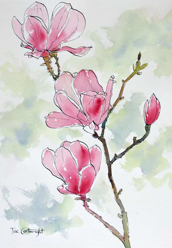 555x800 Pen And Wash Flower Demonstration