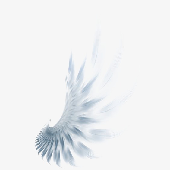 564x564 Wing, Watercolor Wings, Angel Png Image And Clipart For Free Download