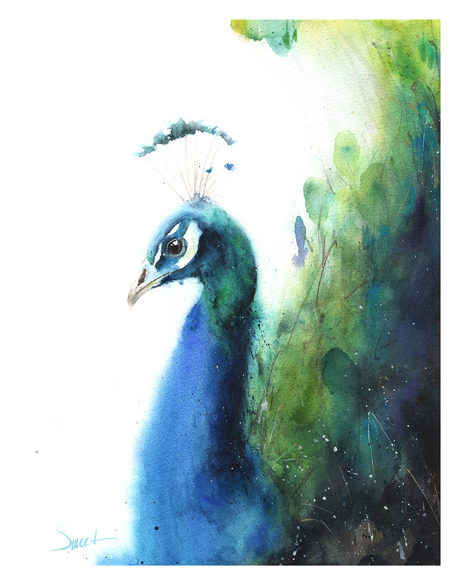 650x827 Peacock Watercolor Print Watercolor Animal Paintings