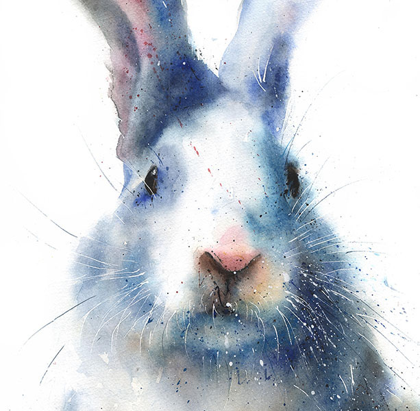 613x600 Rabbit Watercolor Print Watercolor Animal Paintings