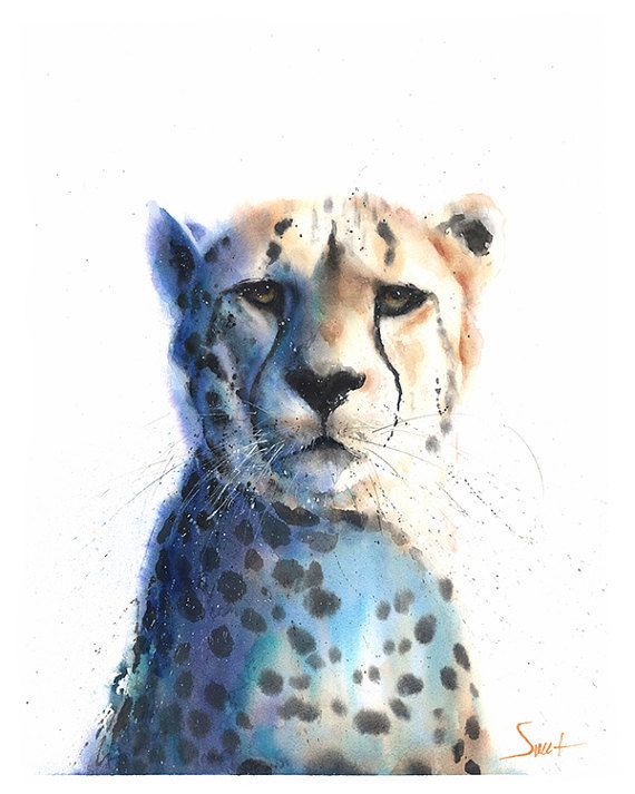 570x713 Watercolor Animals Watercolor Animal Media Cache Ec0 Pinimg 736x