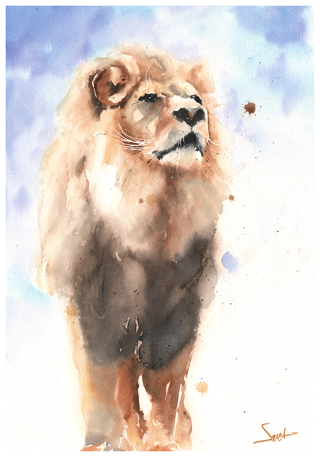 630x900 Lion Original Watercolor Painting Watercolor Animal Paintings