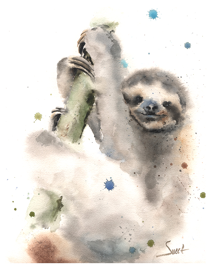 700x891 Sloth Original Watercolor Painting Watercolor Animal Paintings