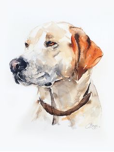 236x314 450 Best Watercolor Dog Portrait Images In 2018
