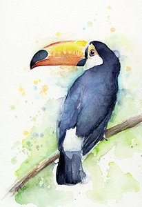206x300 Watercolor Animal Paintings Fine Art America
