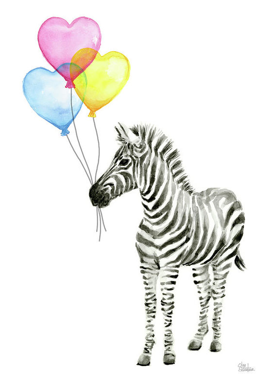 570x799 Baby Zebra Watercolor Animal With Balloons Art Print By Olga Shvartsur