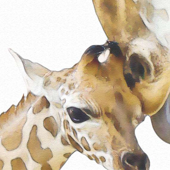 570x570 Giraffe Family Print, Animal Print Nursery Wall Decor, Wall Art