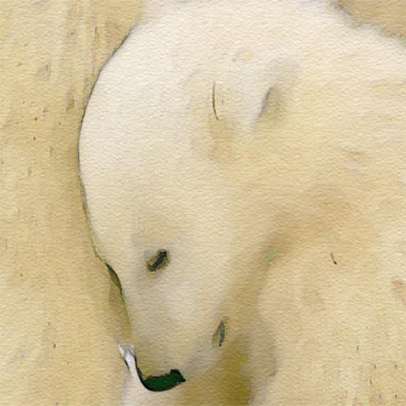 570x570 Polar Bear Family Print, Animal Print Nursery Wall Decor, Wall Art