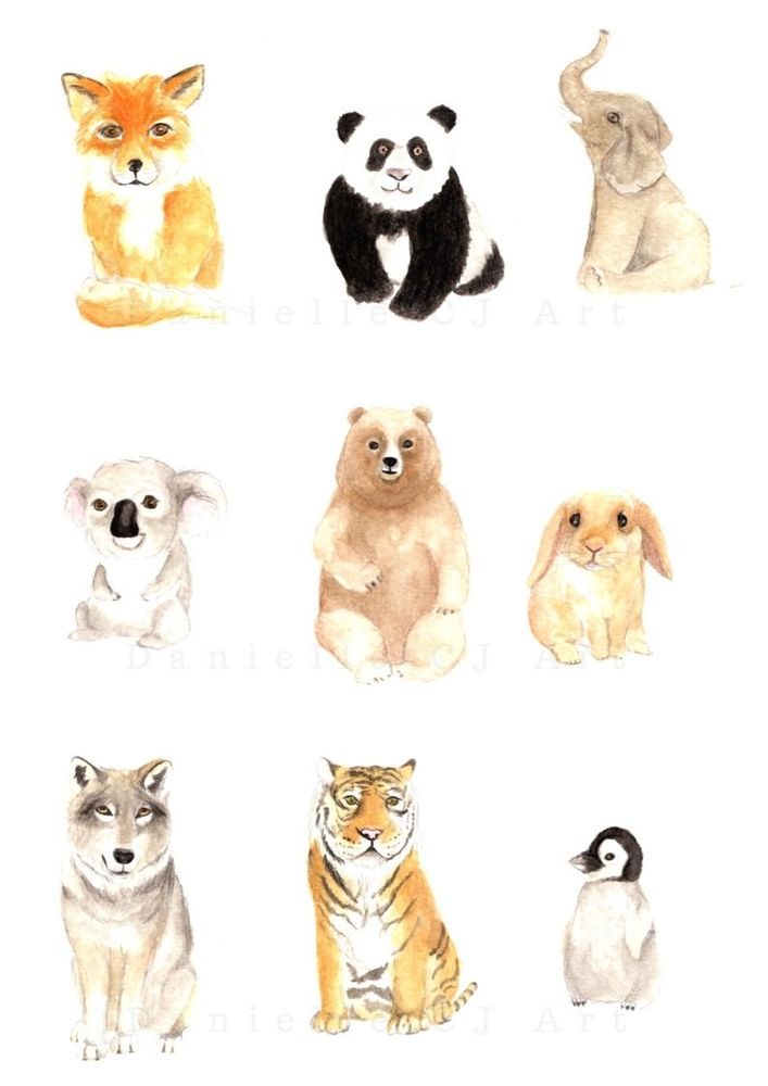 707x1000 Watercolour Animal Friends Print By Danielle Cj Art. Nursery