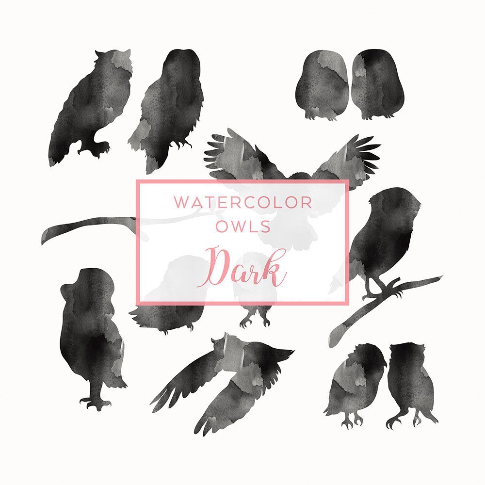 1000x1000 Owls Black Clip Art Animal Silhouette Graphics Watercolor Etsy