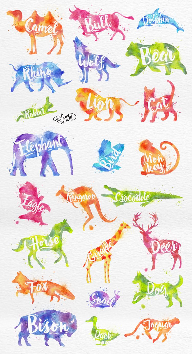 750x1380 Watercolor Animals By Anna On @creativemarket Art