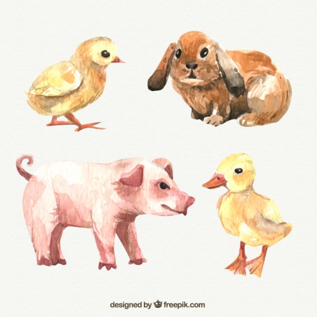 626x626 Watercolor Farm Animals Vector Free Download