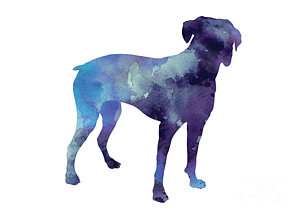 300x213 Boxer Art Print Silhouette Watercolor Painting Painting By Joanna