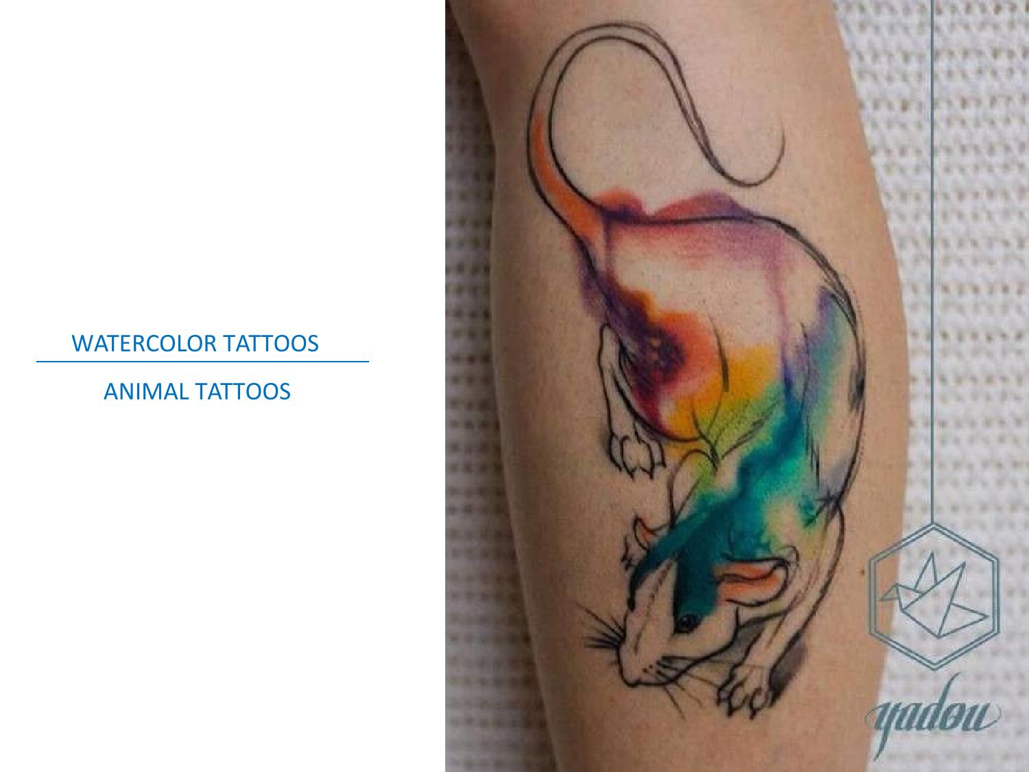 1500x1125 Watercolor Tattoo Animals By Alrogo