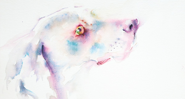 600x320 Painting Watercolor Animals