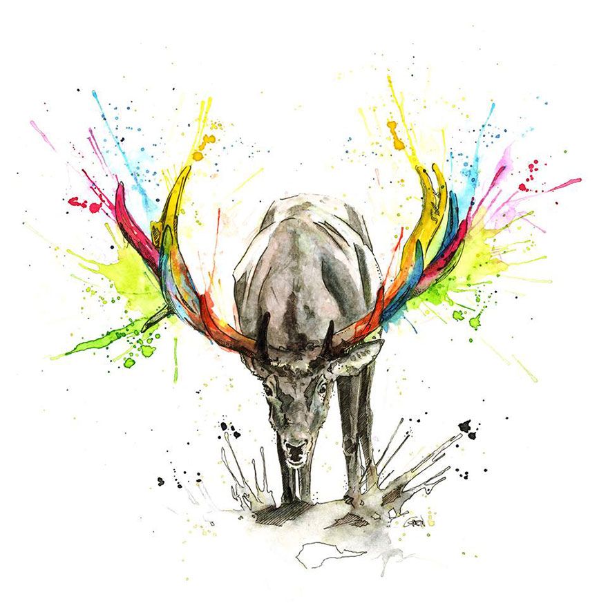 880x880 Quiet Animals In Loud Watercolors Watercolor