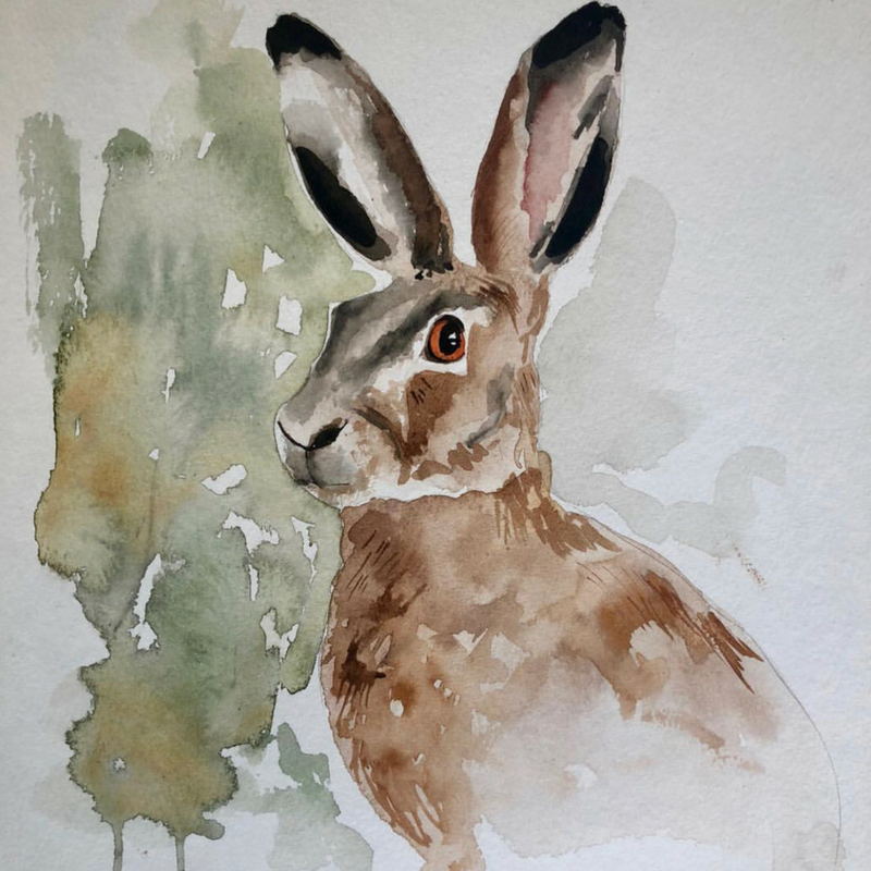 800x800 Realistic Watercolor Animals Whimsodoodle