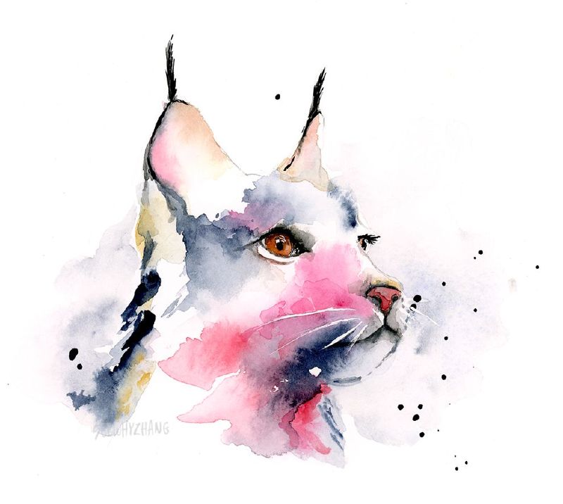 800x716 The Top 10 Best Blogs On Watercolor Animals