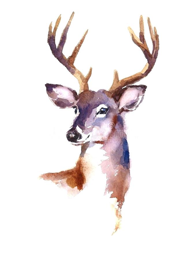 644x900 Water Color Animals Watercolor Animals Pillow Cover Artistic