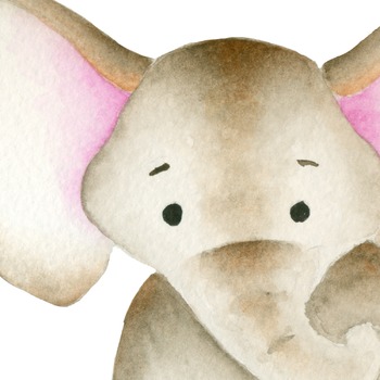 350x350 Jungle Animals Clipart, Watercolor Animals, Animal Illustration, Zoo