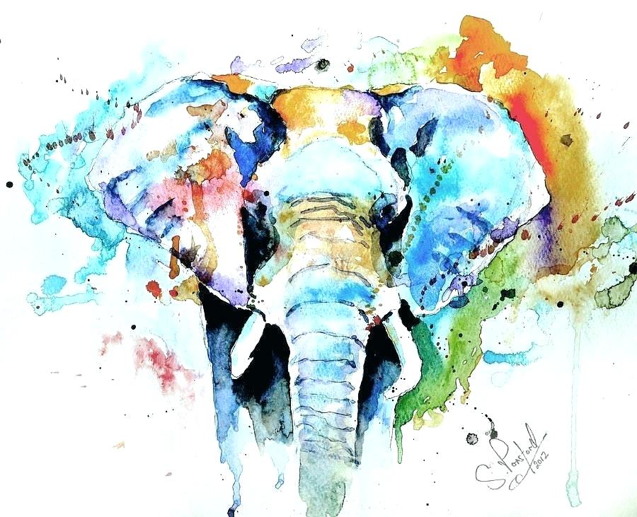 900x731 Water Color Painting Ideas Excellent Watercolour Animals
