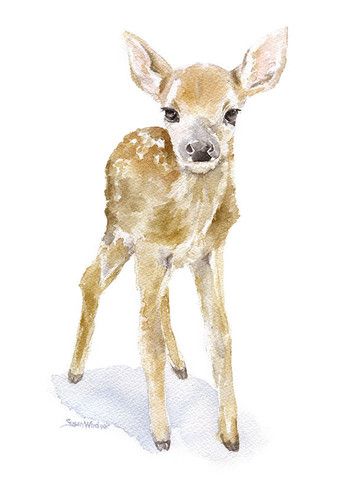 343x480 Deer Fawn 2 Watercolor Art Watercolor