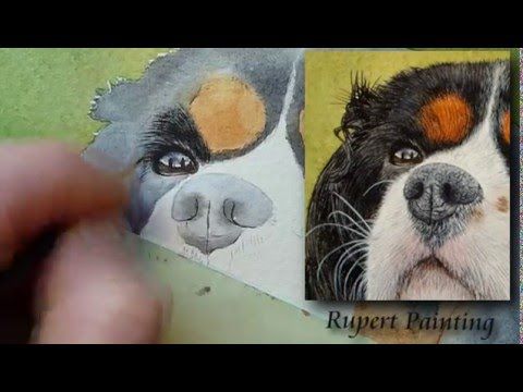 480x360 Dog, Cat Fur Watercolour Painting Tutorial