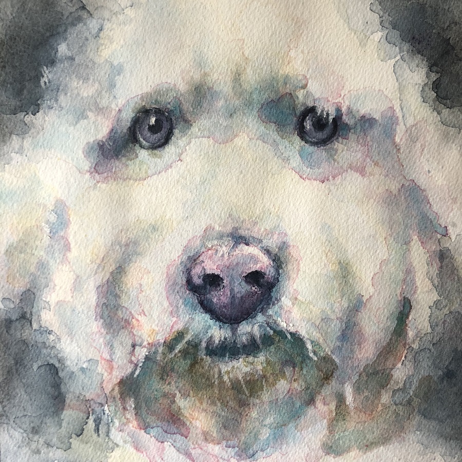 900x900 Tutorial How To Paint A Dog Portrait In Watercolour Ken Bromley