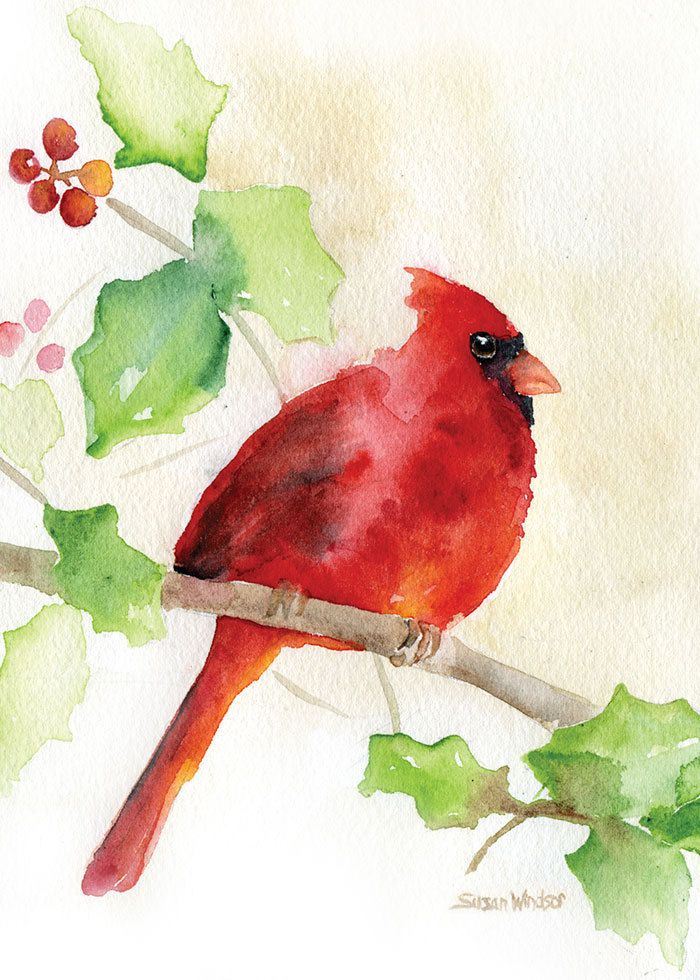 700x980 Cardinal And Holly Watercolor Christmas Card Set Artwatercolor