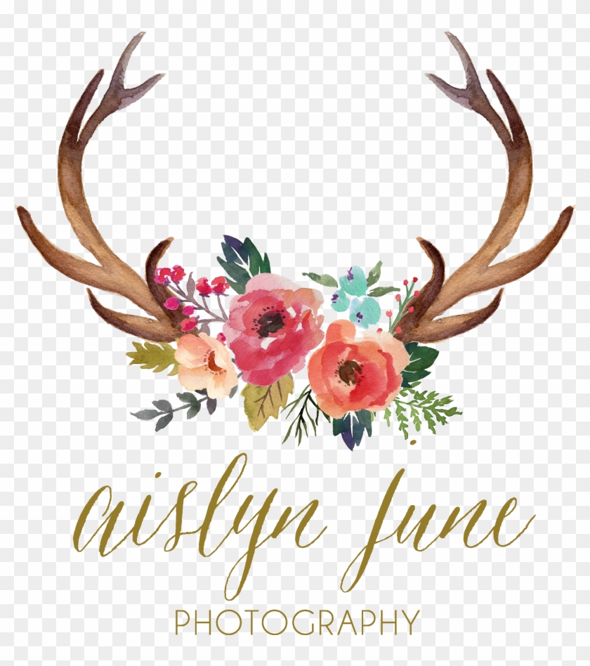 840x948 Deer Antler Watercolor Painting Clip Art