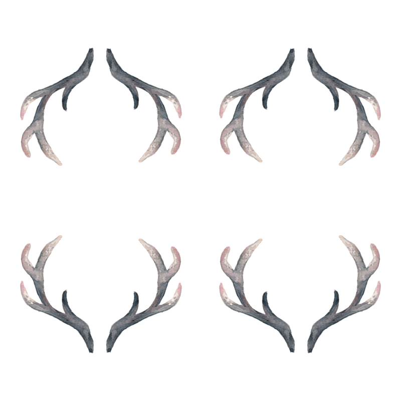 Watercolor Antlers At Getdrawings Free Download