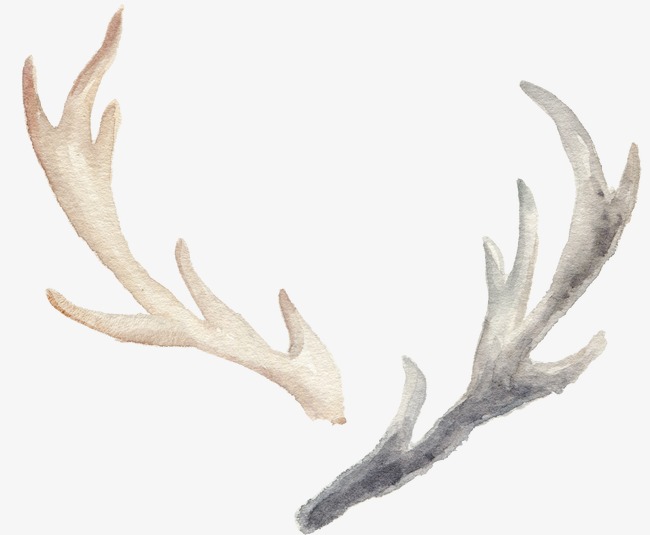 650x535 Hand Painted Watercolor Antlers, Watercolor Clipart, Hand Painted