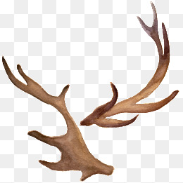 260x261 Watercolor Antler Png, Vectors, Psd, And Clipart For Free Download