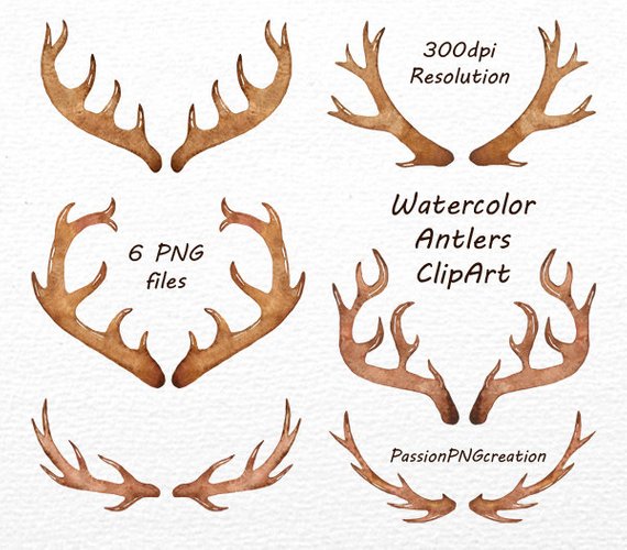 570x500 Watercolor Antlers Clipart 6 Png Files Antler Clip Art Etsy