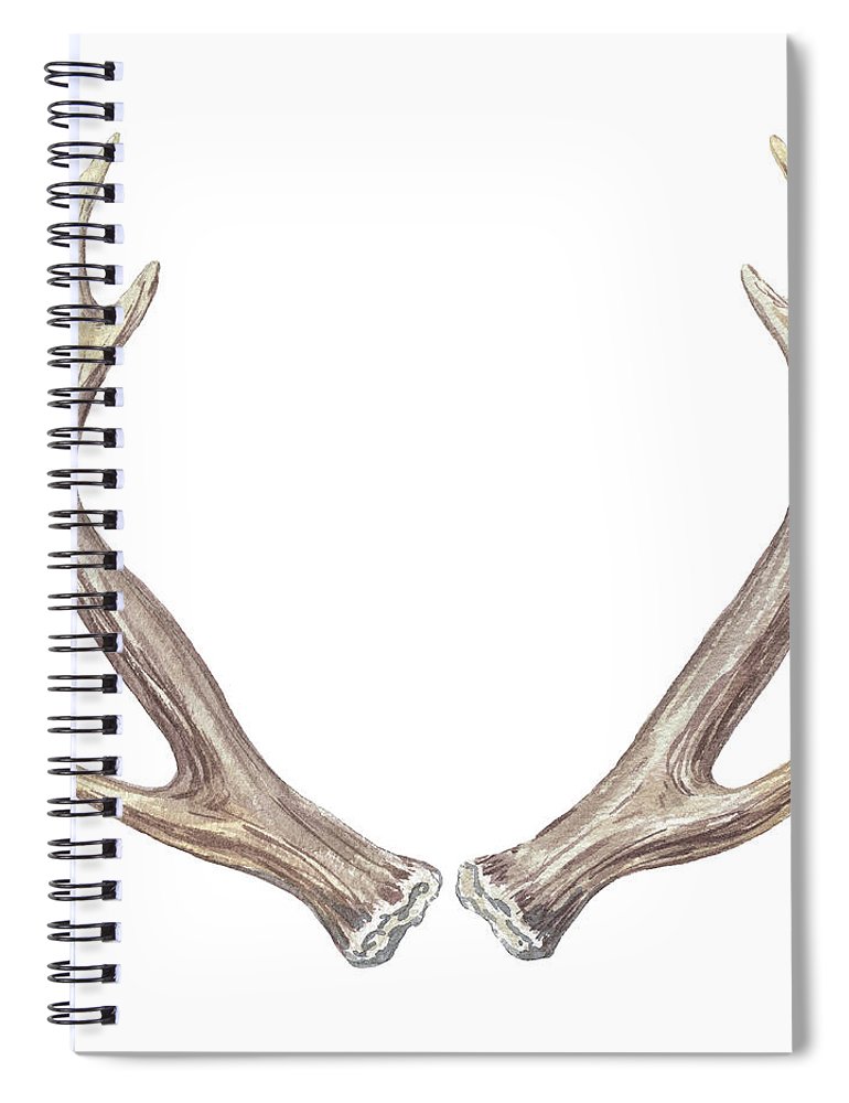 770x1000 Watercolor Antlers Spiral Notebook For Sale By Irina Sztukowski