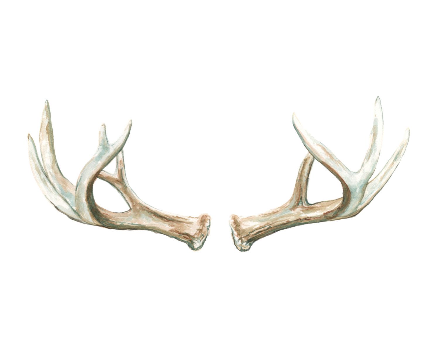 1500x1207 Antlers No 1 Art Print
