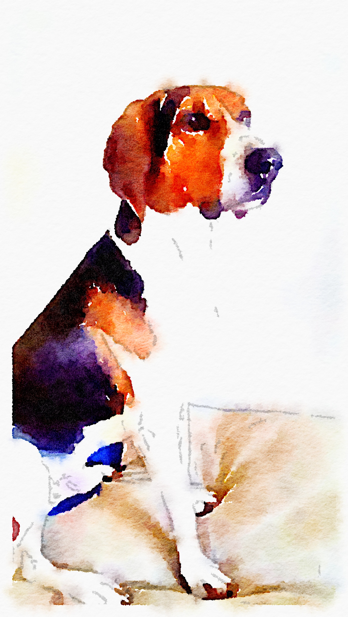 1156x2048 Watercolor Apps = Instant Decor Barks And Baking