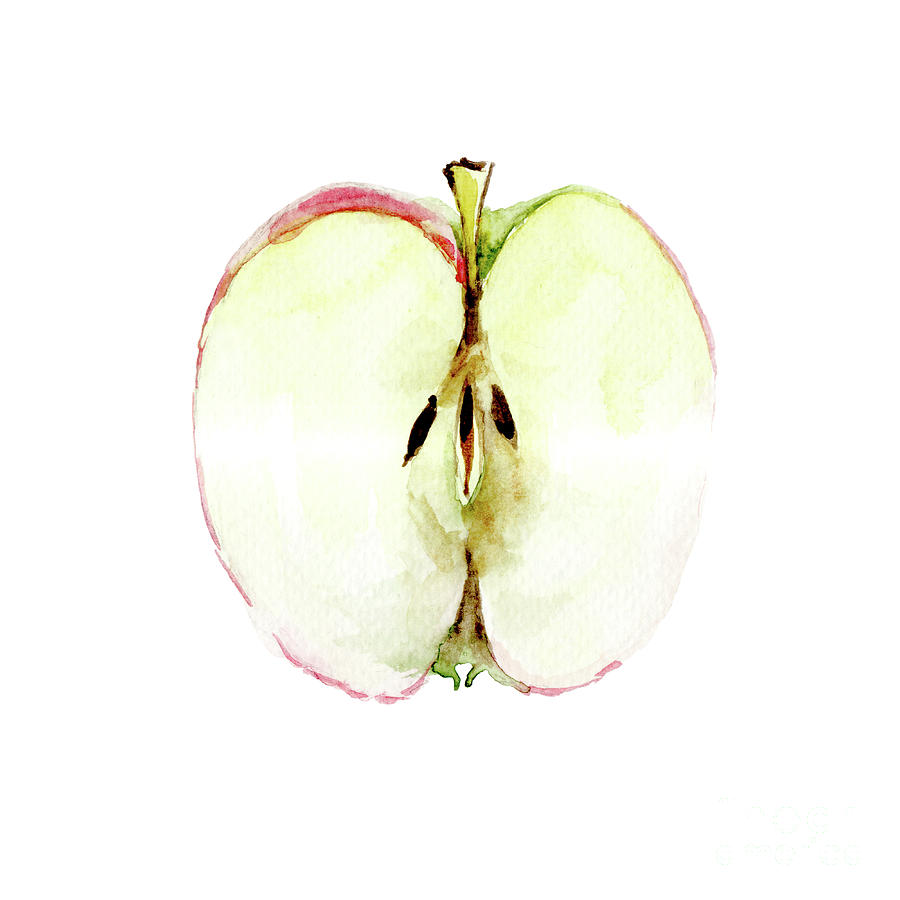 900x900 Half Of Apple, Watercolor Illustration Painting By Regina Jershova
