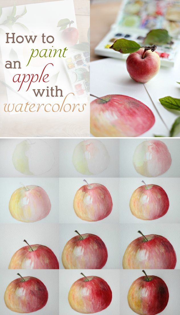 632x1102 How To Paint An Apple With Watercolors Watercolor, Apples And Crafts