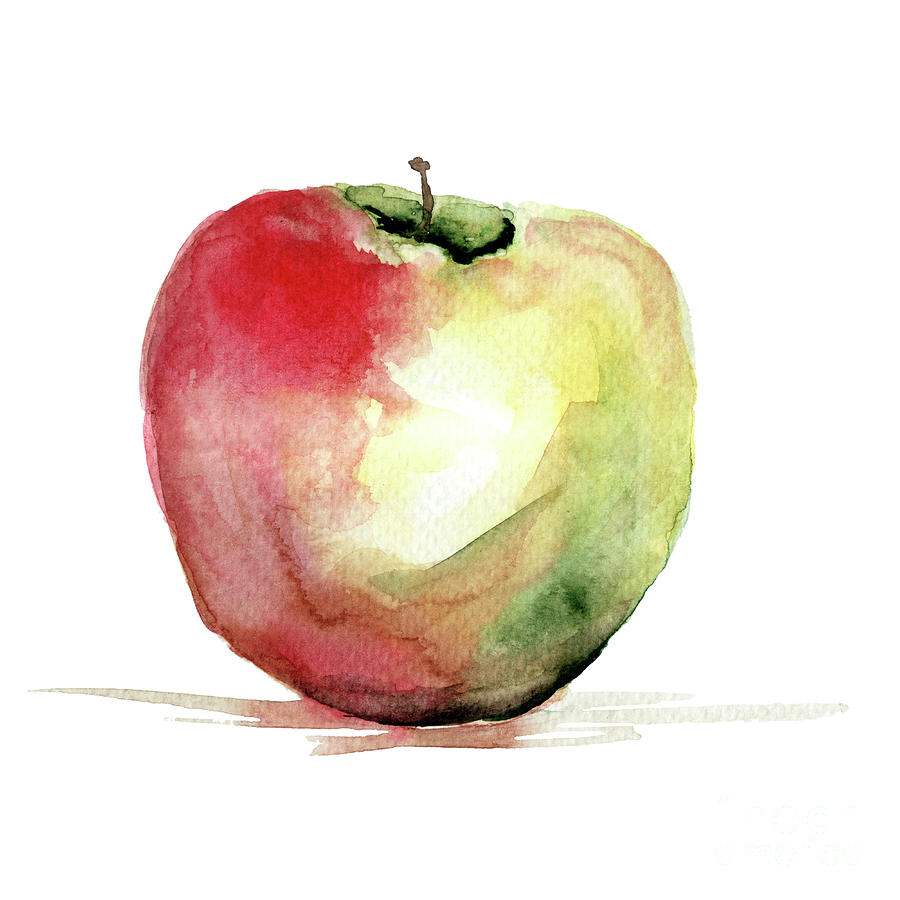 900x900 Stylized Watercolor Apple Illustration Painting By Regina Jershova