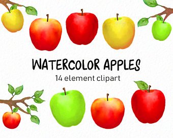 340x270 Apple Watercolor Etsy