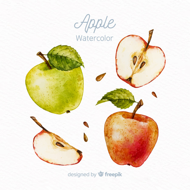 626x626 Watercolor Apple Set Vector Free Download