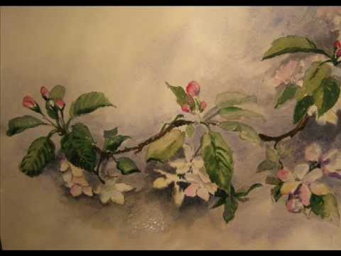 480x360 Blooming Apple Tree Watercolor By Olga Morgun.wmv