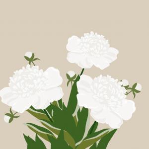 300x300 Stock Illustration Watercolor Apple Tree Branch With Sohadacouri