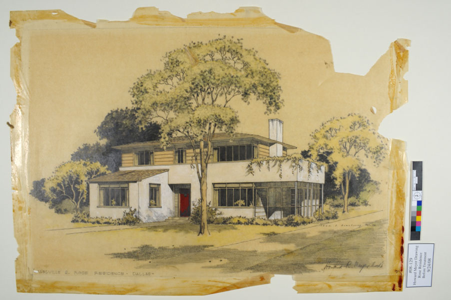 903x600 Beth Antoine Conservation Portfolio