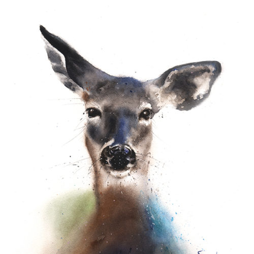 500x500 Bald Eagle Watercolor Print Watercolor Animal Paintings