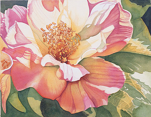 500x388 Watercolor Painting Demonstration Painting Petals