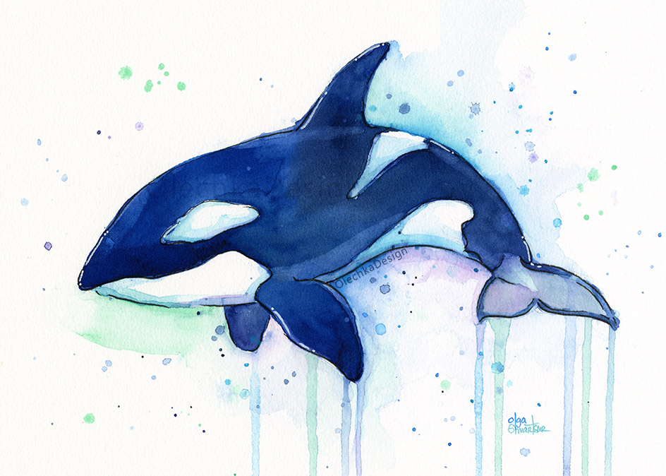 944x674 Killer Whale Watercolor Olechka Design